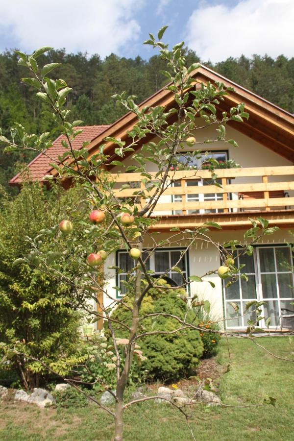 Ferienwohnung Purbach Muggendorf  Luaran gambar